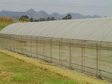 貴陽驚濤鋼結構|貴陽卷閘門安裝|貴陽平式活動板房|貴陽輕鋼廠房|貴州活動板房安裝|貴州網架結構|貴陽幕墻玻璃制作 活動板房價格 - 貴州驚濤鋼結構工程